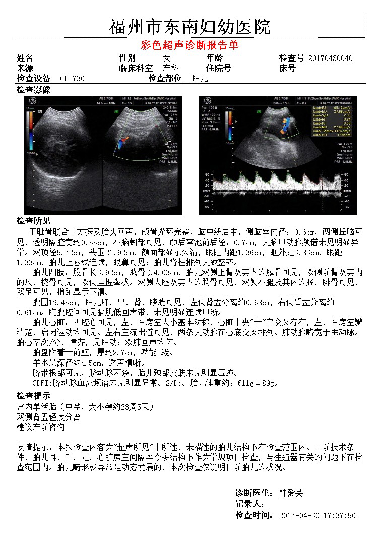 Color Ultrasound Diagnostic Report